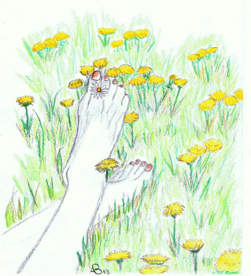 sommer